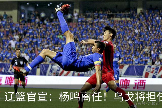 辽篮官宣：杨鸣离任！乌戈将担任辽宁男篮主帅